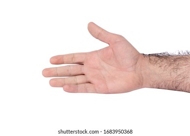 Caucasian Male Arm Isolated On White Background. Hairy Arm Of An Adult Male