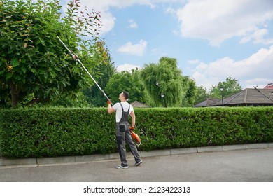 Caucasian male gardener in uniform trimming trees with electric cutter at garden. Modern gardening equipment for work. Landscaping process during summer time.