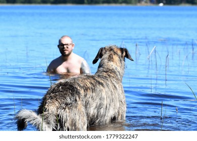 Caucasian Man Bathing In A Lake With His Dog, An Irish Wolfhound