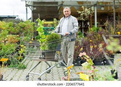 Caucasian Man Choosing Sprouts In Garden Center