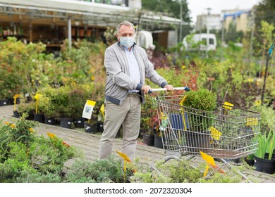 Caucasian Man In Face Mask Shopping In Garden Center And Choosing Seedlings.