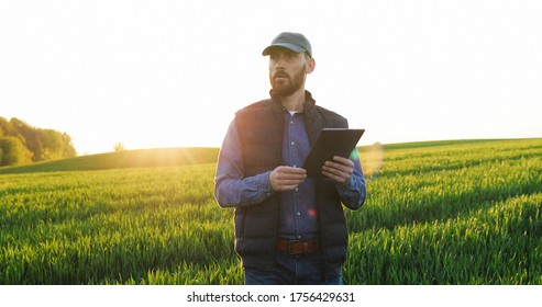  Caucasian man in hat walking the green field of wheat and using tablet computer. Young male farmer strolling in his margin and tapping on tablet device. Agricultural concept. - Powered by Shutterstock