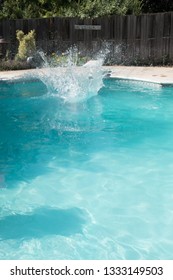 Caucasian Man Jumping Into An Outdoor Swimming Pool In The Summer. Man Lands In Pool From Jumping Off Diving Board Doing Cannon Ball Into A Pool With Big Splash As He Lands In The Water.