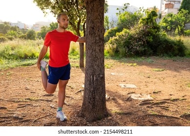 Caucasian man leaning against a tree stretching his quadriceps. He is wearing a red T-shirt and blue shorts. He is in a park on a sunny day.