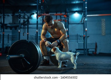 Caucasian man practicing in weightlifting in gym. Male sportive model resting after training, looks strong, petting dog. Body building, healthy lifestyle, movement, activity, action concept.