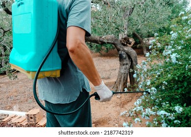 a caucasian man sprays insecticide on a shrub with a knapsack sprayer in a farmland