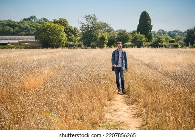 A Caucasian Man Walking In A Golden Barley Field In Little Rissington, Cotswolds, England, During Autumn Season