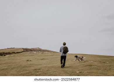 Caucasian man walks in a vast, open field with his dog. White man and his dog enjoy the open field, with the dog playfully carrying a stick. Man walking and playing with his dog on grass - Powered by Shutterstock