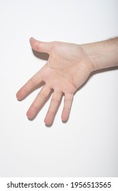 
Caucasian Man's Hand Showing The Five Fingers