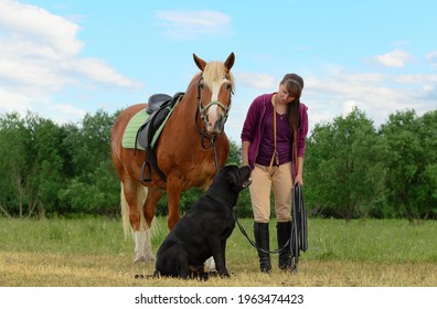 5,112 Horse dog person Images, Stock Photos & Vectors | Shutterstock