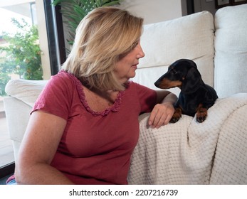 Caucasian Mature Woman With Her Dachshund Dog In The Sofa