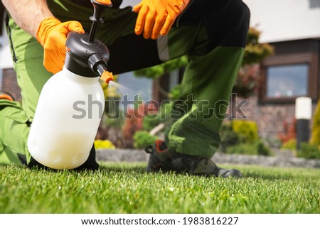 Caucasian Men Fighting Grass Lawn Weeds by Spraying Chemicals.