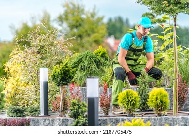 Caucasian Middle Aged Male Gardener Taking A Moment Of Rest During Landscaping Large Island Bed In His Client’s Backyard Garden. Professional Landscape Design Theme.