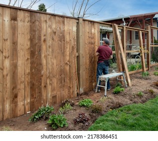 A Caucasian, middle-aged gay male carpenter builds a tall wooden fence.