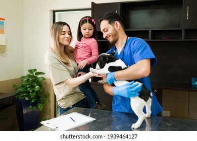 Caucasian Mom And Little Daughter Taking Their Beautiful Boston Terrier To The Vet. Happy Attractive Veterinarian Working With A Cute Dog And Their Owners