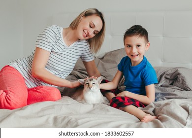 Caucasian Mother And Son Petting Oriental Point-colored Cat. Mom Teaching Child Boy To Stroke Animal Correctly Gently. Domestic Animal Feline Friend. Lifestyle Candid Authentic Family Moment.