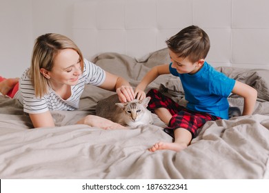 Caucasian Mother And Son Petting Oriental Point-colored Cat. Mom Teaching Child Boy To Stroke Animal Correctly Gently. Domestic Animal Feline Friend. Lifestyle Candid Authentic Family Moment.