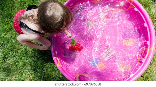 Caucasian Toddler Brown Haired Girl Plays In A Pink Backyard Kiddie Pool During  A Hot Summer Day