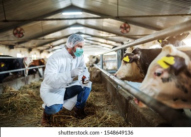 518,391 Animal health Images, Stock Photos & Vectors | Shutterstock