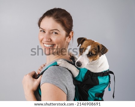 Caucasian woman carries jack russell terrier dog in her backpack. 