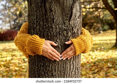 Caucasian woman holding arms around tree in park during the autumn 