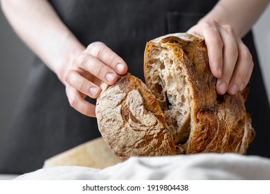 caucasian woman holding fresh bread from the oven, baking homemade bread, sourdough bread delicious and natural products, healthy food baking, pastry ciabatta - Shutterstock ID 1919804438