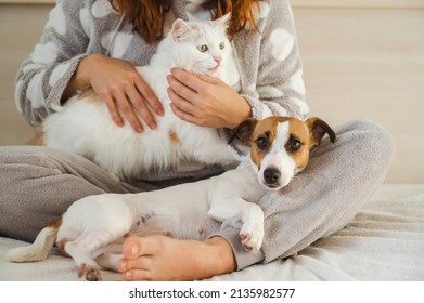 Caucasian Woman Holding A White Fluffy Cat And Jack Russell Terrier Dog While Sitting On The Bed. The Red-haired Girl Hugs With Pets.