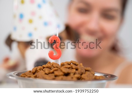 Caucasian woman and jack russell terrier in holiday caps look at a bowl of dry food with a candle. The dog and the owner are celebrating third birthday