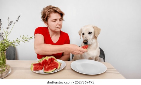 A Caucasian woman shares watermelon with a Labrador at a table, highlighting companionship and healthy eating during summer - Powered by Shutterstock