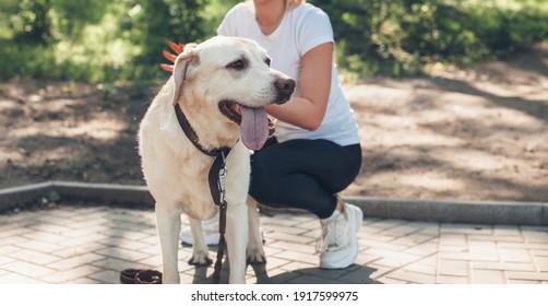 Caucasian Woman Is Walking In A Park With Her Dog During A Summer Sunny Day