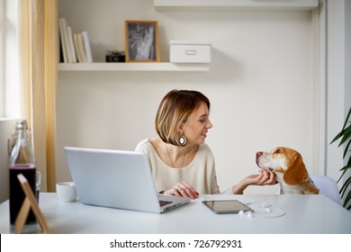 Caucasian woman working at home office while her dog watching her/  businesswoman in thirties concept