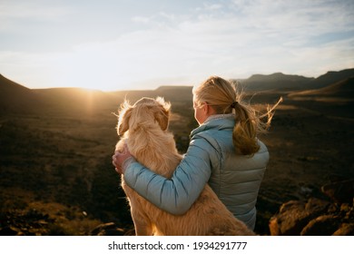 Caucasian young teen hugging golden puppy while gazing into horizon during vibrant sunset  - Powered by Shutterstock