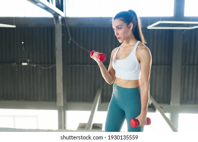 Caucasian Young Woman Catching Her Breath And Lifting Dumbbells At The Gym. Attractive Woman Working Out Indoors With Weights