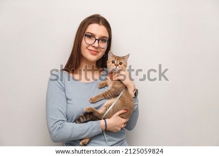 Caucasian young woman holding cat breed golden chinchilla. Portrait with pet on hands