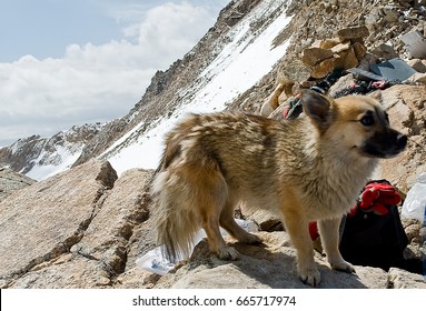 The Caucasus — The Geographical Region, Mainly The Highland In Eurasia Located To The South From The East European Plain On Border Of Europe And Asia.
