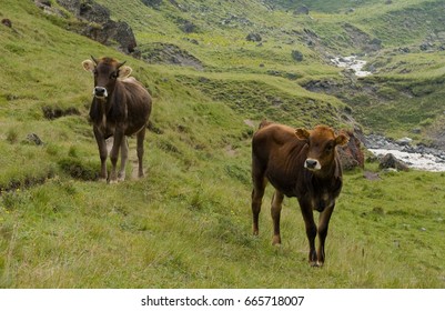 The Caucasus — The Geographical Region, Mainly The Highland In Eurasia Located To The South From The East European Plain On Border Of Europe And Asia.
