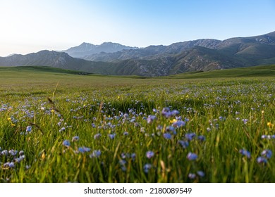 Caucasus, nature in Goygol District, west of Ganja Province of Azerbaijan.