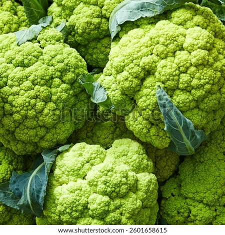 Cauliflower Broccoflower as Full Frame 