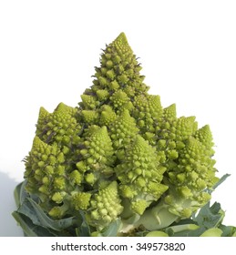 Cauliflower; Minaret; Brassica