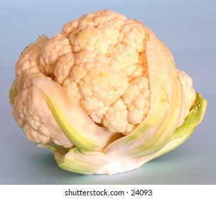 A cauliflower on a blue background.