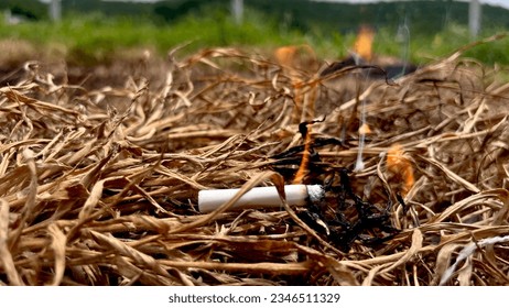 causing forest fires Beginning of a wildfire human frivolity Human indiscretions cause disaster.