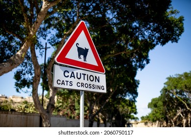 Caution Cats Crossing warning road sign