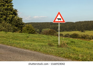Caution cows crossing sign next to country road, forest in distance.