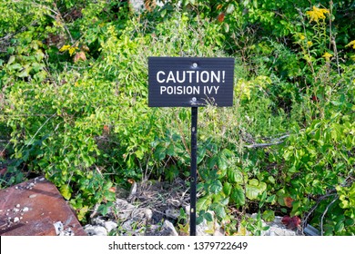 Caution Poison Ivy Sign