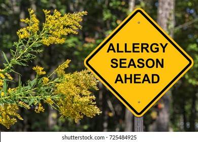 Caution Sign - Allergy Season Ahead