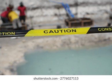 The 
