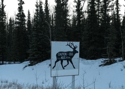 A Caution Wildlife Sign On The Side Of A Road In Yukon, Canada