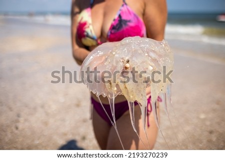 A cautious curious displeased woman holds a translucent dead dangerous poisonous jellyfish in her hands and scatters it while standing on the sea coast, under the hot scorching sun