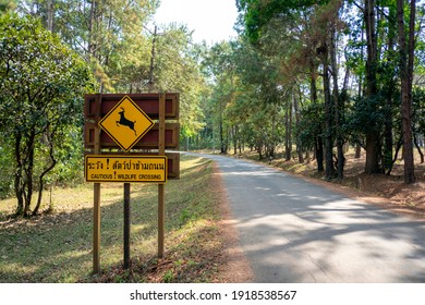 Cautious Wildlife Crossing Sign On Yellow Board Beside The Road.