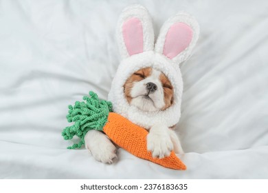 Cavalier King Charles Spaniel puppy wearing easter rabbits ears sleeps with knitted carrot on a bed under warm white blanket at home - Shutterstock ID 2376183635
